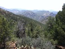 photo thumbnail #14