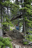 photo thumbnail #12