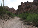 photo thumbnail #3