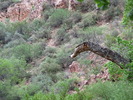 photo thumbnail #5