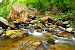 photo thumbnail #11