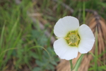 photo thumbnail #14