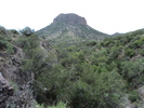photo thumbnail #10