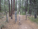photo thumbnail #3