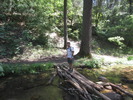 photo thumbnail #7