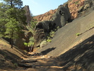 photo thumbnail #4