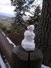 photo thumbnail #5