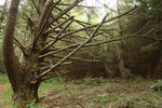 photo thumbnail #2