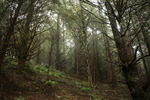 photo thumbnail #11