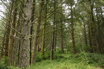 photo thumbnail #13
