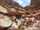 photo thumbnail #13