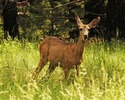 photo thumbnail #2