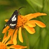 photo thumbnail #11