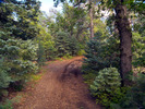 photo thumbnail #4
