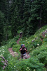 photo thumbnail #4