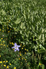 photo thumbnail #15