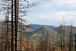 photo thumbnail #11