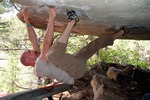 photo thumbnail #4