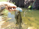 photo thumbnail #7