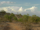 photo thumbnail #2