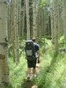 photo thumbnail #1