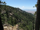 photo thumbnail #5