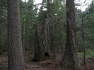 photo thumbnail #8