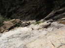 photo thumbnail #9