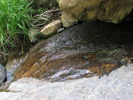 photo thumbnail #10