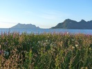photo thumbnail #14