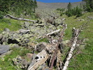 photo thumbnail #5