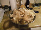 photo thumbnail #13
