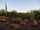 photo thumbnail #2