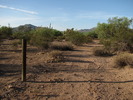 photo thumbnail #4