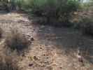 photo thumbnail #3