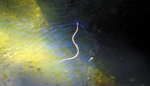 photo thumbnail #11