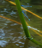 photo thumbnail #12