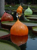 photo thumbnail #13