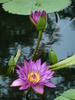 photo thumbnail #14