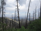 photo thumbnail #15
