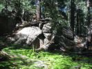 photo thumbnail #14