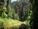 photo thumbnail #6