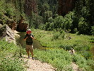 photo thumbnail #11
