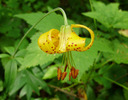 photo thumbnail #8