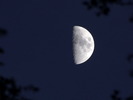 photo thumbnail #13