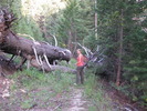 photo thumbnail #3