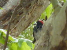 photo thumbnail #5