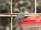 photo thumbnail #8