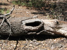 photo thumbnail #4