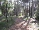 photo thumbnail #11